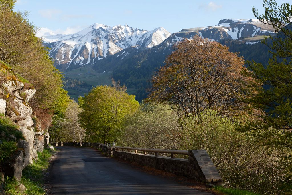 A picturesque road with lush trees and snow-capped mountains in Mont-Dore, Auvergne-Rhône-Alpes.